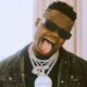 harmonize signs first artist un i7925